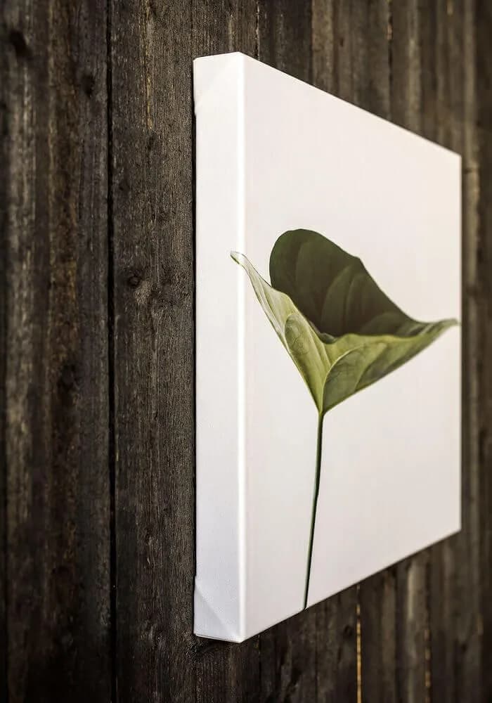Sample photograph showing the wrapped side edge of a canvas